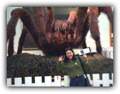 When giant spiders ruled the world...