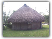 Seminole Indians lived in palm-thatched huts called chickees