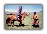  Stephanie gallops through Outer Mongolia